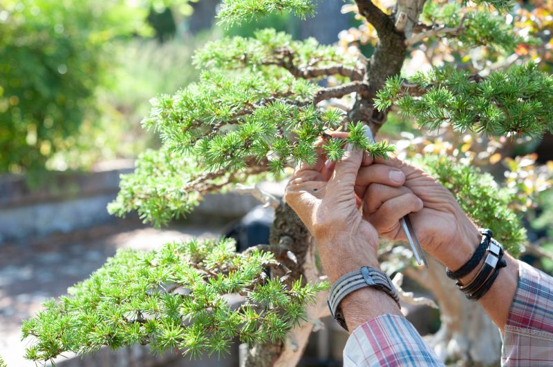 Inside Pruning Tools