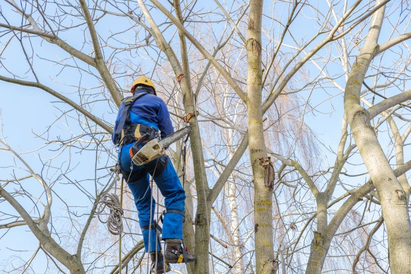 Equipment for Tree Trimming